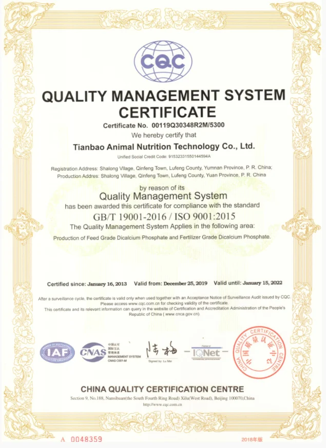 Habesha Jewelry Sets Coptic Crosses